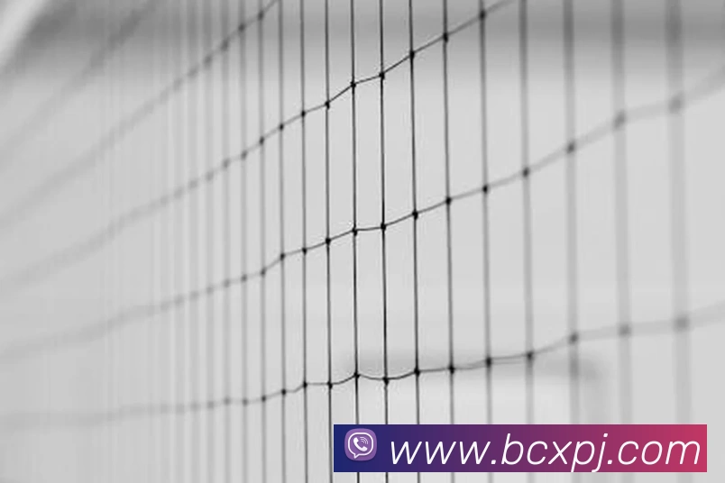 新葡京娱乐城品牌故事