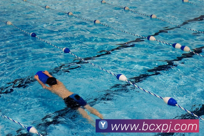 新葡京娱乐城服务体系